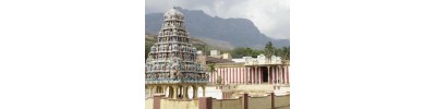 205. திருக்குற்றாலம்